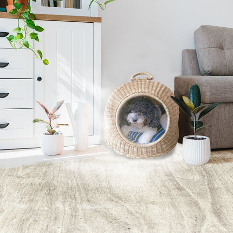 Lattan Pet House